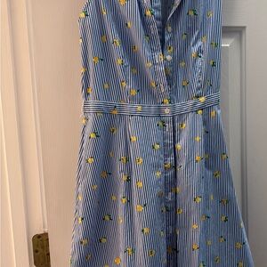 Jcrew Blue Striped Tank Dress With Lemons